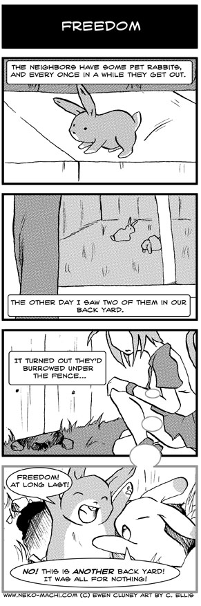 Freedom…