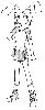2006-03-01.gif
